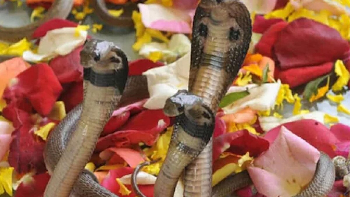 Nag Panchami: Follow These Steps Today According to Your Zodiac Sign