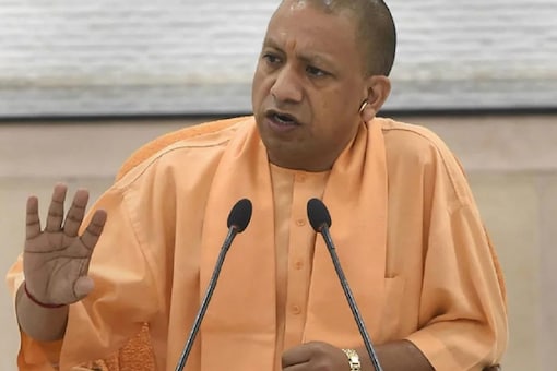 The Yogi government will project that it has opened 5,278 gaushalas in UP, where there are more than 5.86 lakh cattle.  (File photo: PTI)