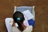 Class II Kid in Howrah Tortured With Hot Candle Wax by Tutor For Not Finishing Homework, FIR Lodged
