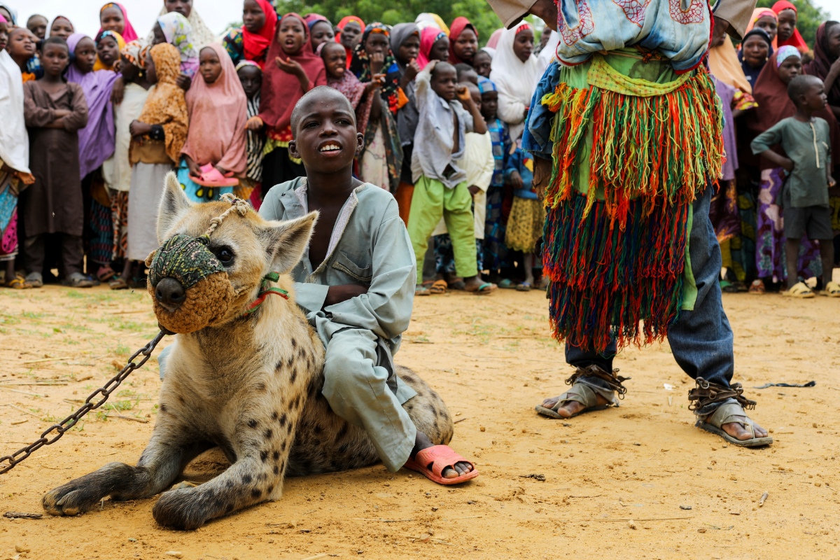 In Photos: Nigeria's Hyena Men Display the Maligned Creatures at