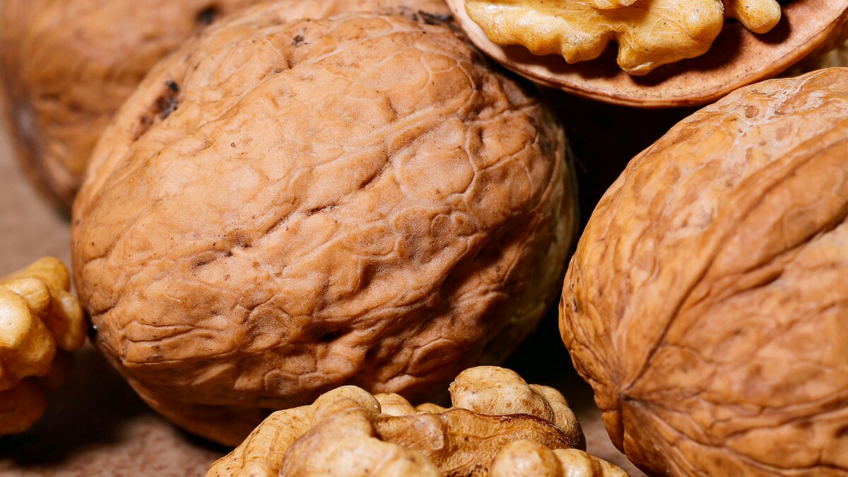 Regular Walnut Consumption Linked to Greater Longevity and Reduced Death Risk, Says Harvard Study