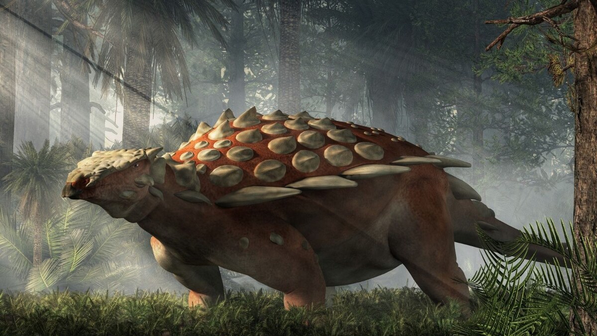 Earliest Known Ankylosaur Fossil Discovered in Moroccan Site, First in Africa