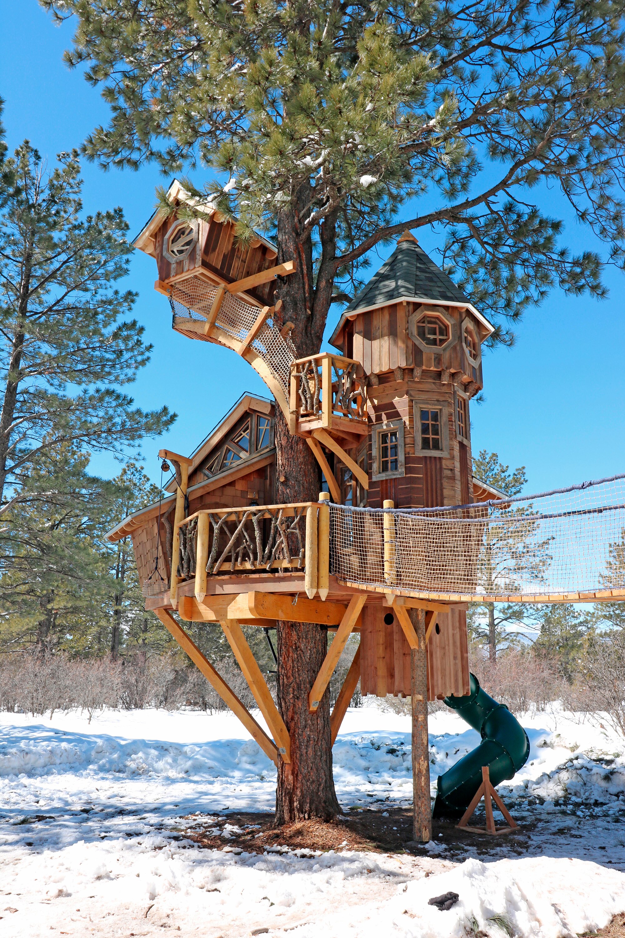 Treehouse Normal In Photos: Nature Meets Nostalgia as Treehouses Return in Style Amid ...