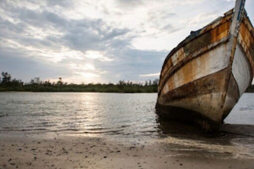 The government has plans to increase export of marine food products and five fishing harbours in the country would be modernised to international-level with facilities for processing units. (File photo/Reuters)