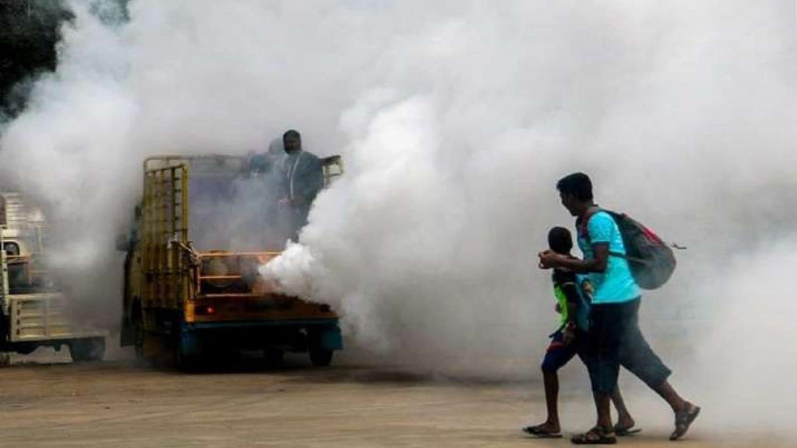 Madhya Pradesh to Start Campaign to Curb Dengue Spread As Cases Rise to 2,570