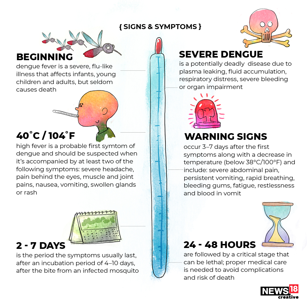 how does dengue fever spread know biting facts ways to protect yourself in pics how does dengue fever spread know biting facts ways to protect yourself in pics