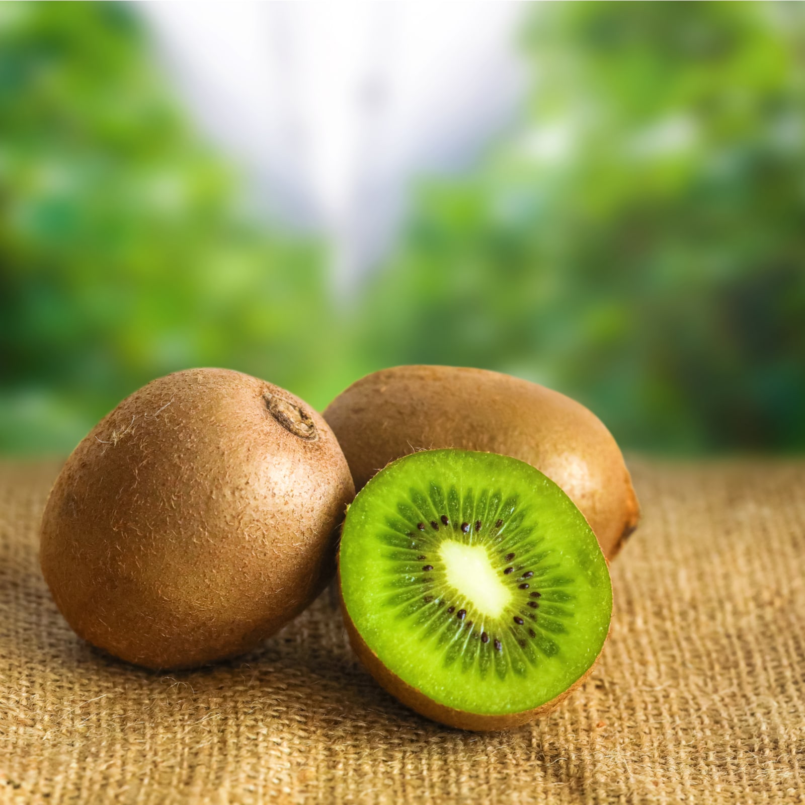 Adding Kiwi Fruit To Your Diet Has Many Benefits. Here's What You Need to  Know - News18