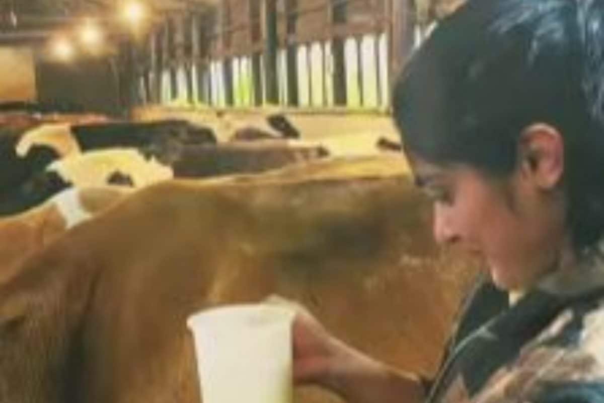 Vakeel Saab Actress Nivetha Thomas’ Video of Milking Cow Receives Flak on Internet