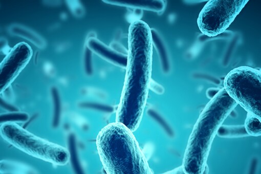 Hexavalent chromium is a heavy metal ion that could cause several health complications in humans. ( Credits: Shutterstock)