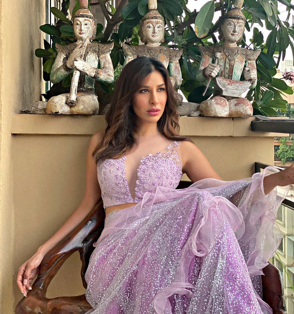 Sophie Choudry looks elegant in the lilac saree.