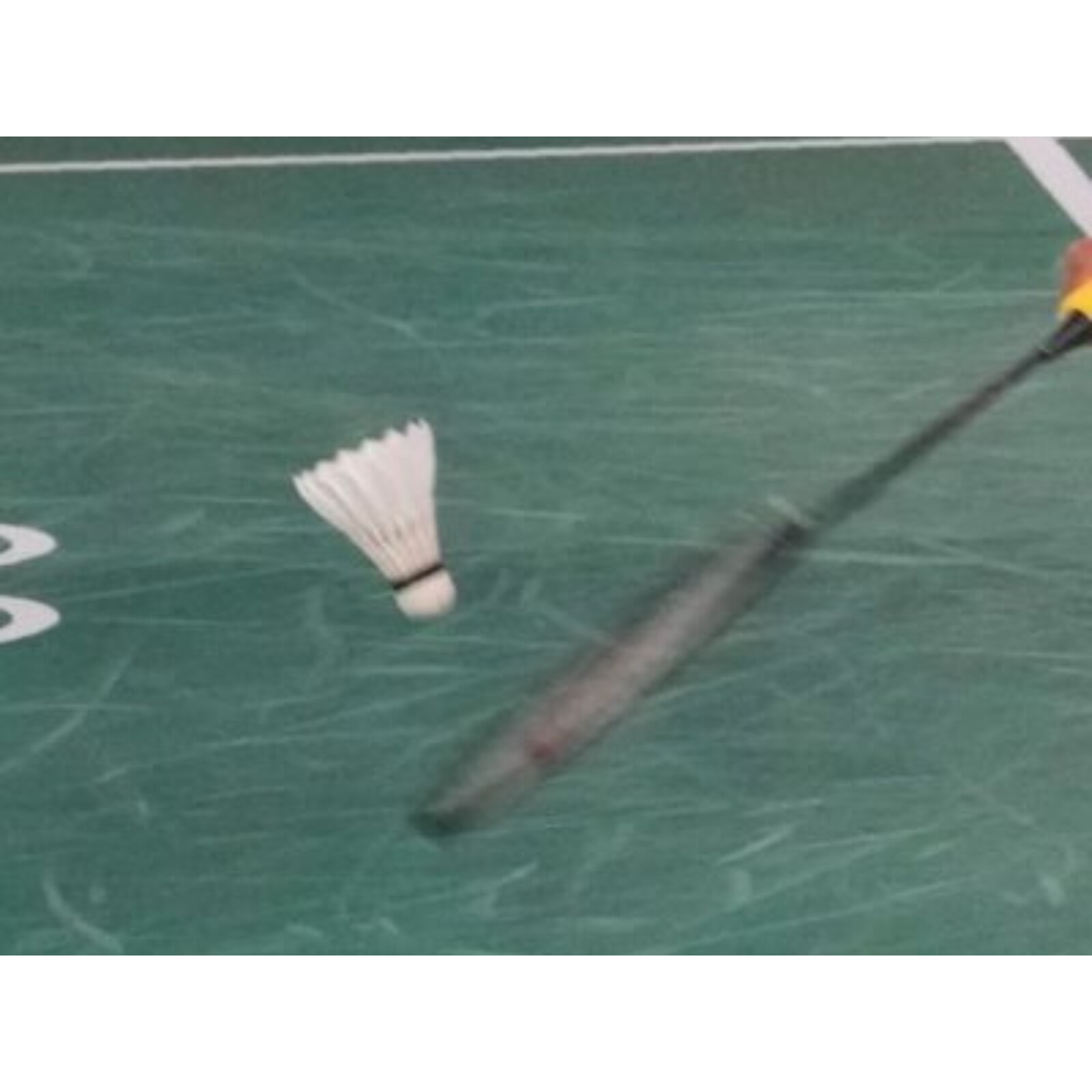 Badminton tournament 2021