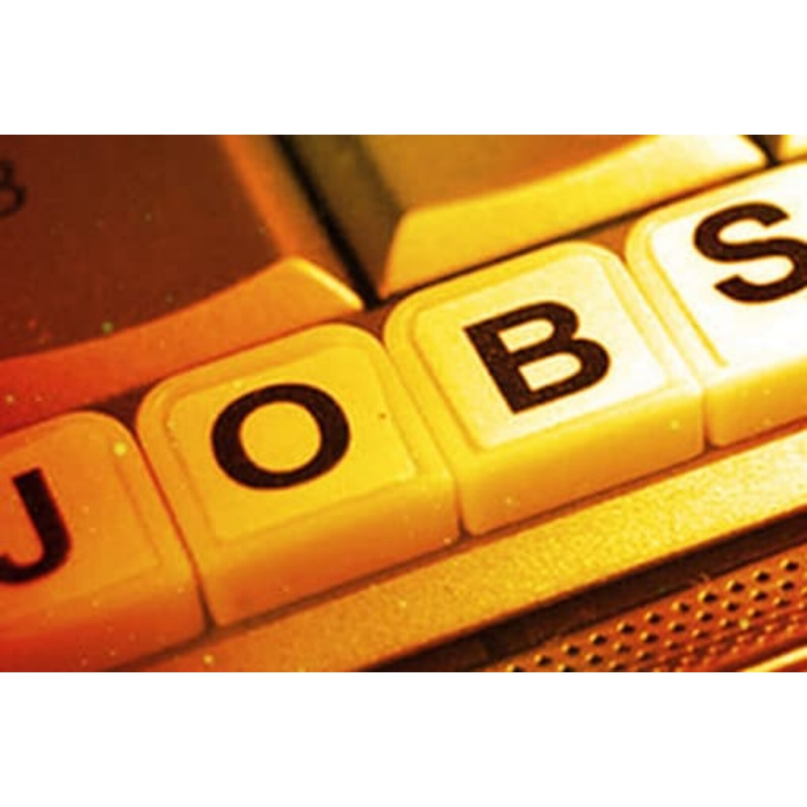 NIOS Recruitment: From Director to Stenographer Apply for 115 Posts, Salary  up to Rs 1.25 Lakh