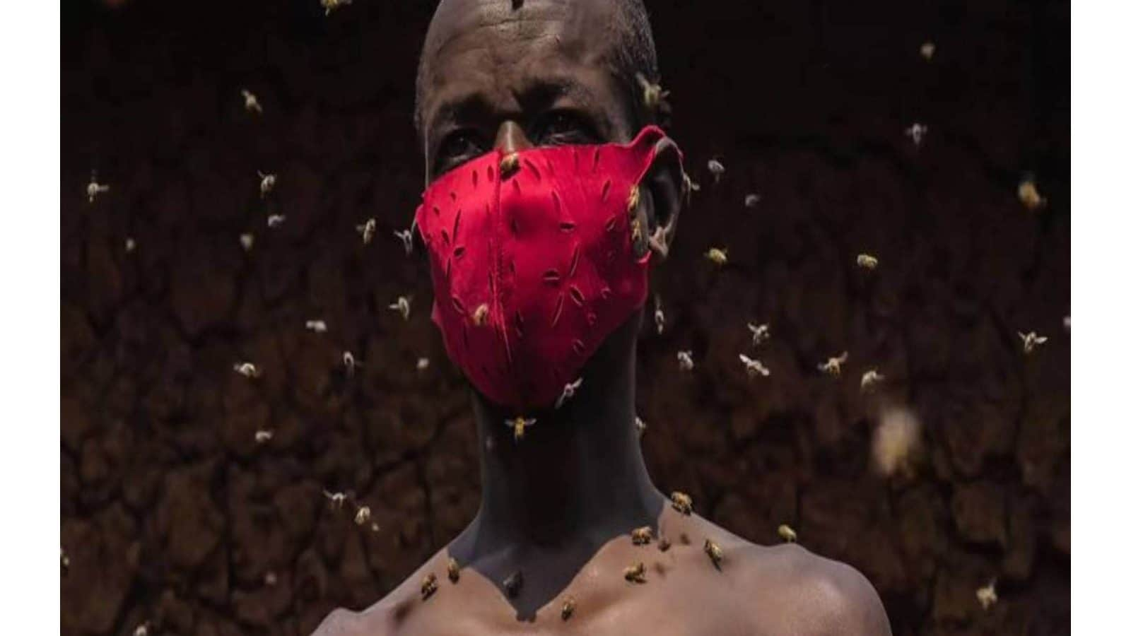 Bee-lieve it Or Not: This Man Walks Around With Thousands of Bees on ...