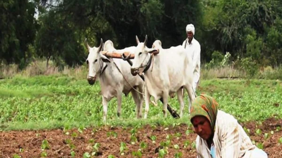 PM-KISAN Scheme: Farmers to Get Rs 4,000 Quarterly, Say Reports