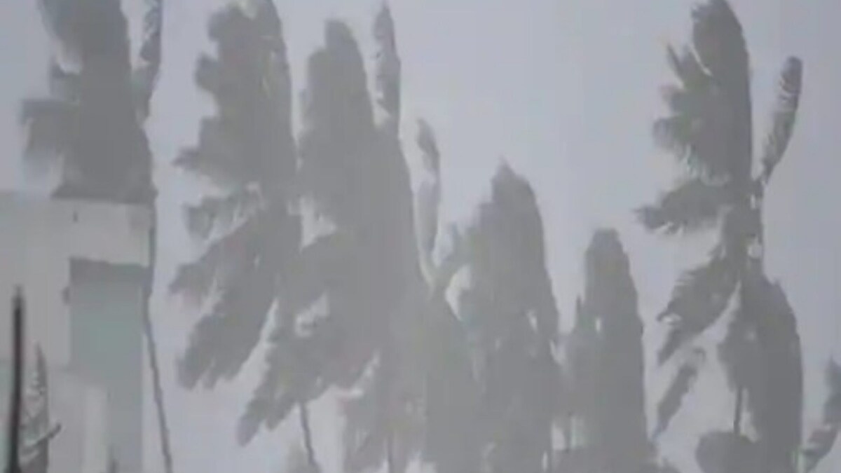 Parts of Andamans Experience Rain, Strong Winds Due to Cyclone Asani