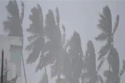 The cyclonic storm is likely to affect the districts of Srikakulam, Vishakhapatanam and Vijayanagaram in Andhra Pradesh and coastal districts of Odisha. (Representational photo from PTI)
