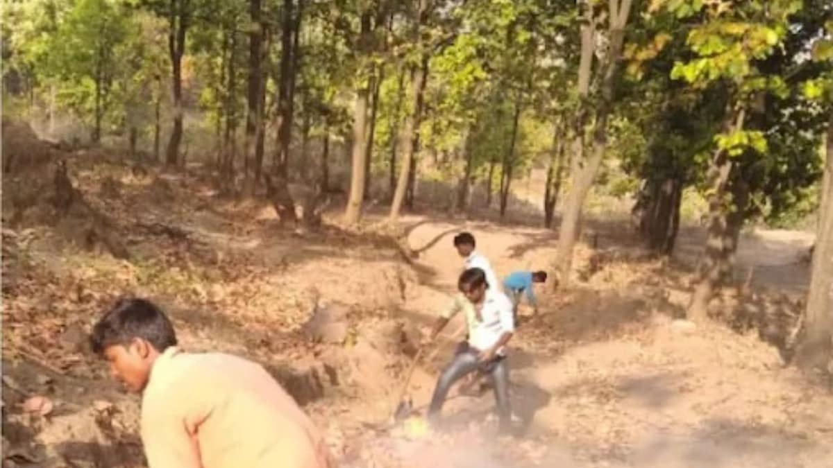 Jharkhand: Bokaro Village Youths Build 5-KM Road After Appeals to PM Go Unheard