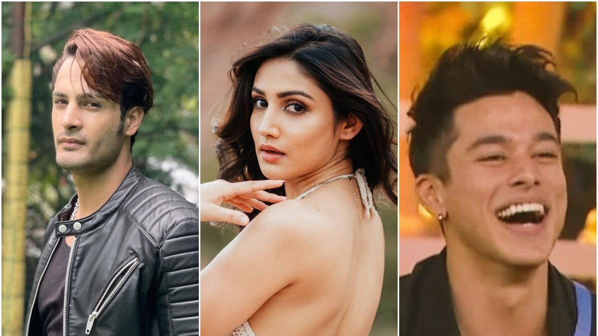 Xxx Video Kareena Kapoor Ka - Bigg Boss 15: Donal Bisht, Umar Riaz and Pratik Sehajpal, Know All About  This Season's Housemates - News18