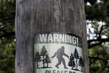 Is Bigfoot Real? - The Atlantic