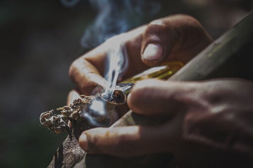 The Government of India enacted the NDPS Act to control addictive drugs and prohibit their possession, dispersion, sale, import, and trade in the country. (File photo/News18)
