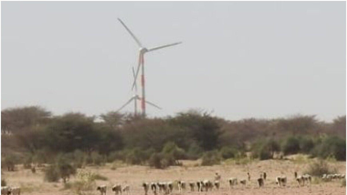 Rajasthan’s Sacred Groves are Under Threat from Rampant Green Development