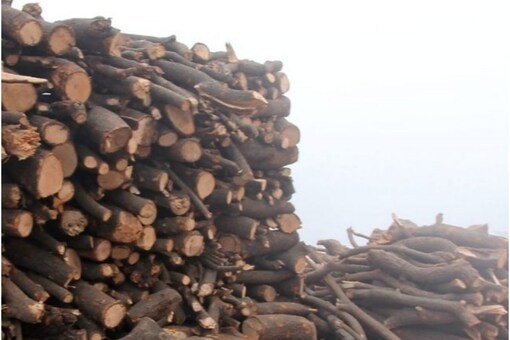 Villagers usually cut down trees while on their way to the funeral, preferably at a place near the crematoriums to save transportation costs.  (Representational Image)
