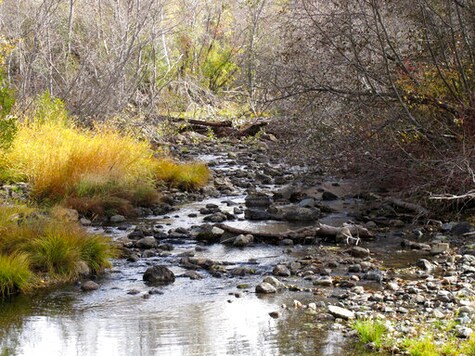 Climate Change Disrupting Natural Cycles At Drier Lake Tahoe