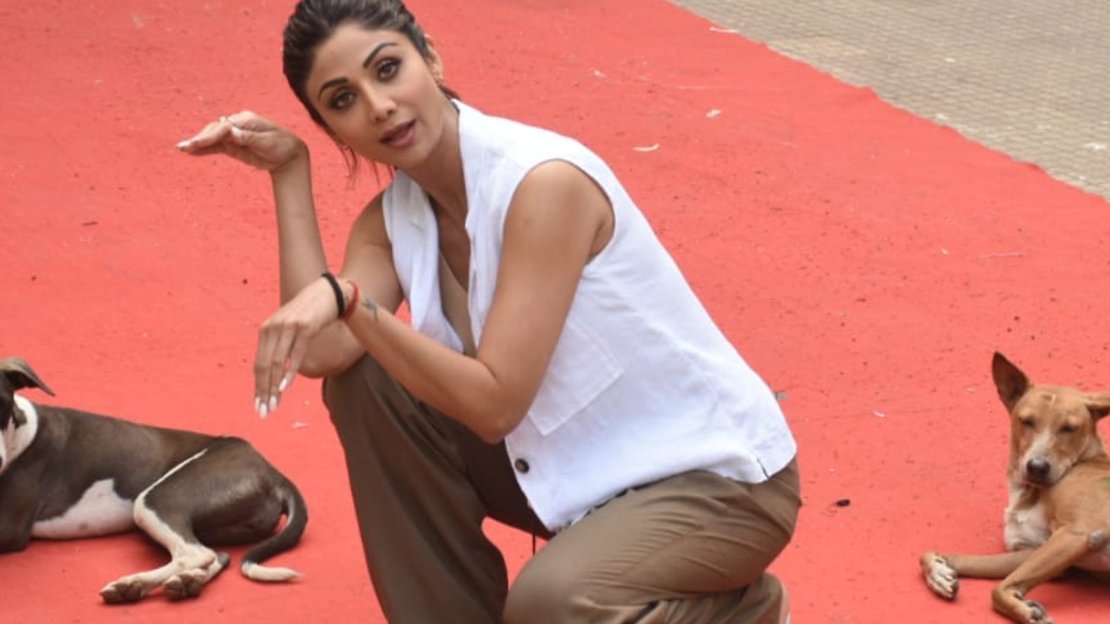 Shilpa Shetty Looks Cheerful as She Poses With Stray Dogs; See Pics