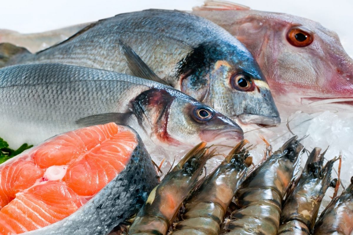 Рыба и морепродукты картинки