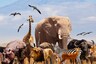 World Animal Day 2021: History, Significance, Quotes and Wishes