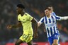 Premier League: Arsenal's Momentum Halted by Brighton and Hove Albion in Stalemate