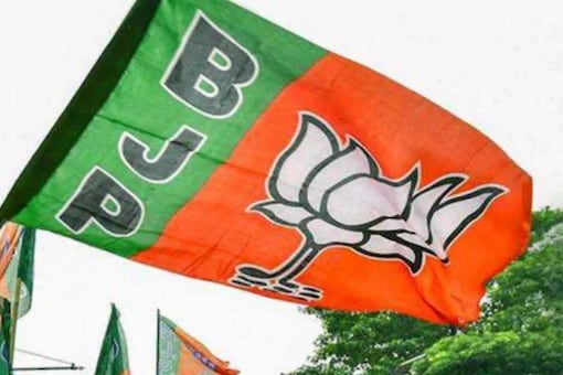 The BJP had launched the micro-donation campaign last year.
 (File photo: BJP)