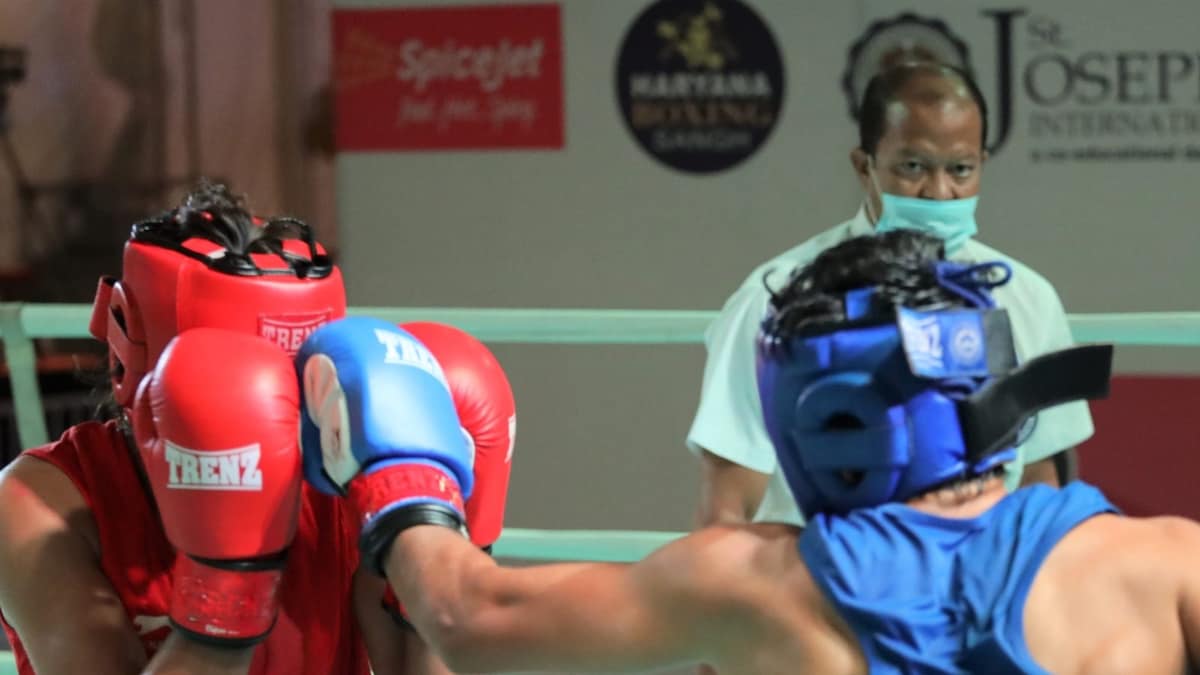 Manju Rani, Jamuna Boro Make Semis of Elite Women's National Boxing Championships