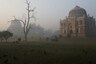 EXPLAINED: Why Stubble Burning Continues To Have Delhi-NCR In A Chokehold