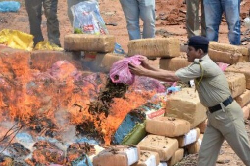 A policeman tips marijuana onto a fire as he incinerates 4,572 kg of drugs in Agartala. (Image: Arindam DEY/AFP)