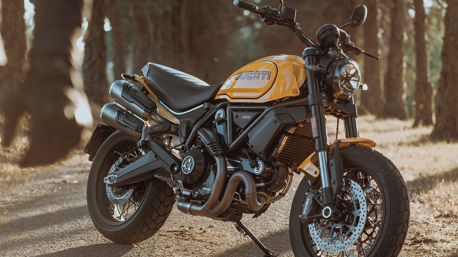 In Pics Ducati Scrambler 1100 Tribute Pro Unveiled, See Design, Features and More News18