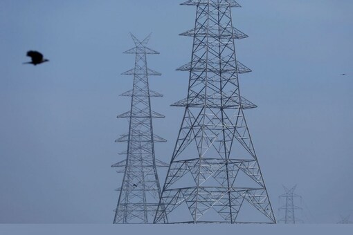 A bird flies next to electricity pylons in the old quarters of Delhi. (REUTERS/Adnan Abidi) 