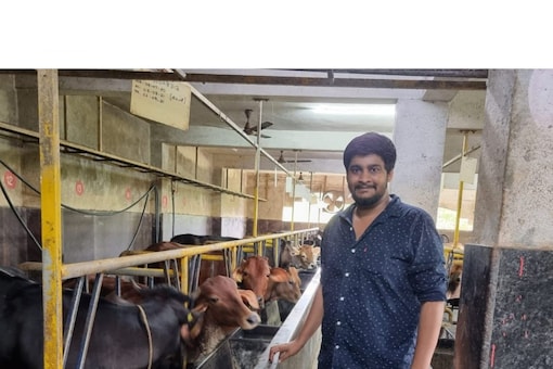 Jayaguru Achar Hinder was fed up of his 9 to 5 job and quit in 2019 to 
 tend to cow farming full time. (Image: Soumya Kalasa/News18)