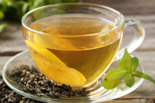 The green tea leaves are extracted from the Camellia Sinensis plant (Image: Shutterstock)