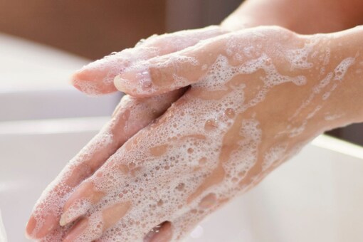 While there are varieties of handwash available in the market, a few things should be kept in mind to choose the most appropriate handwash (Representational image: Shutterstock)
