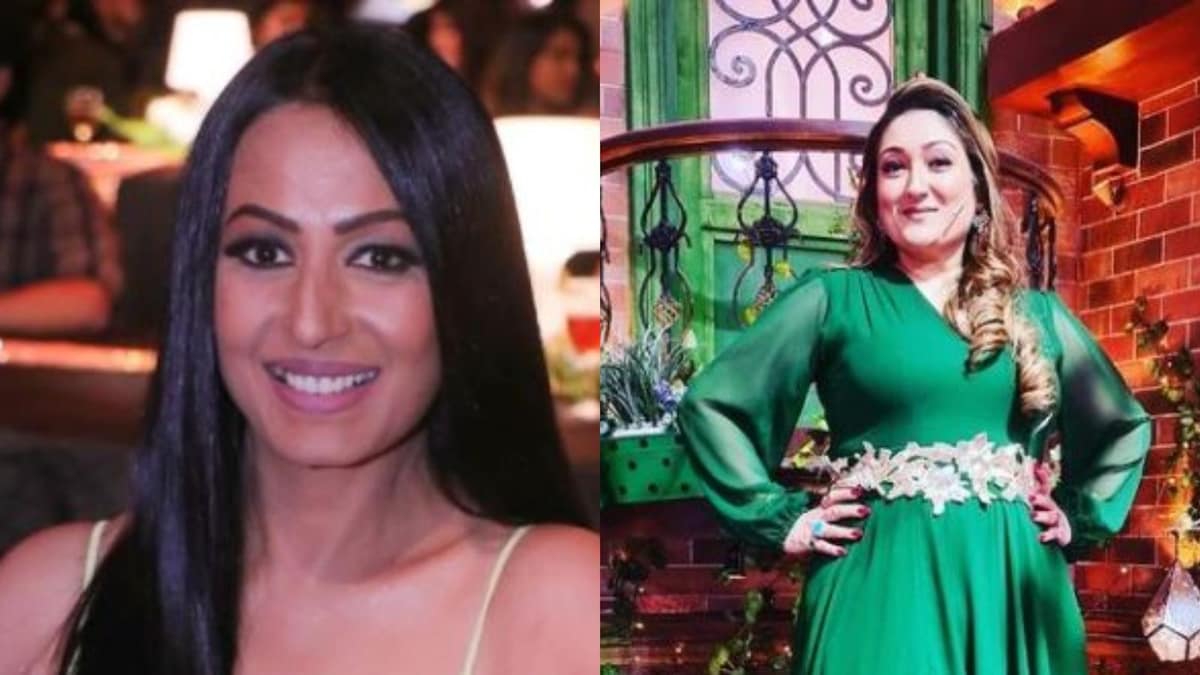 Govinda-Krushna Abhishek Rift: Kashmera Shah Responds to Sunita Ahuja Calling Her 'Bad Daughter-in-Law'