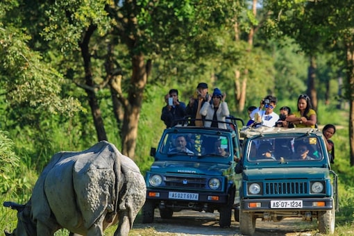 Five forest ranges of Kaziranga National Park are opening after tourists. (Representational Image: Shutterstock)