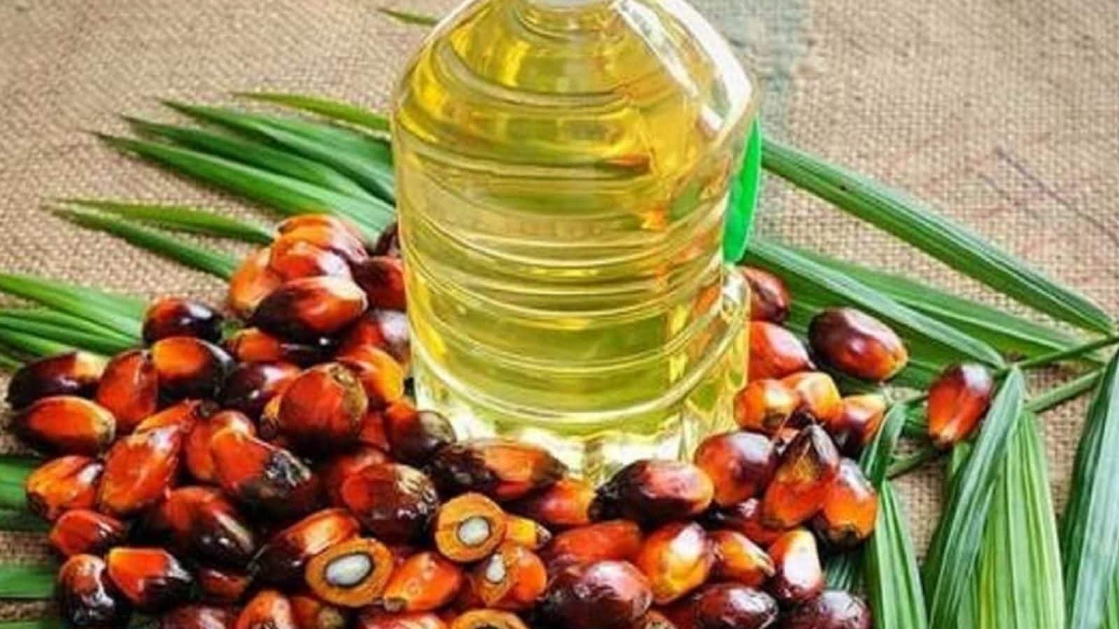 Edible Oil Prices to Hike Further as Indonesia Bans Export of Palm Oil; Know Details