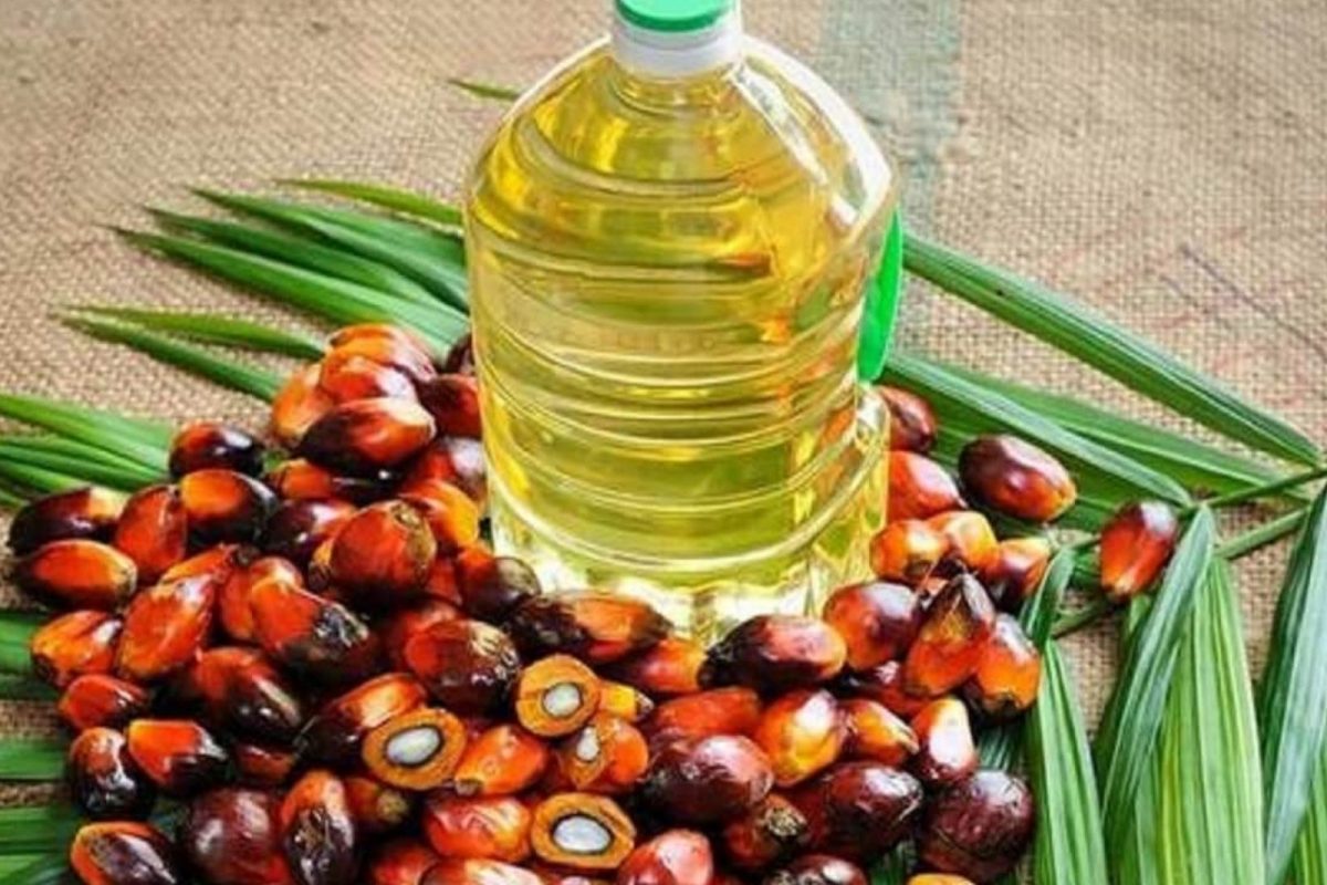 Palm oil prices set for new record highs in coming months -analyst