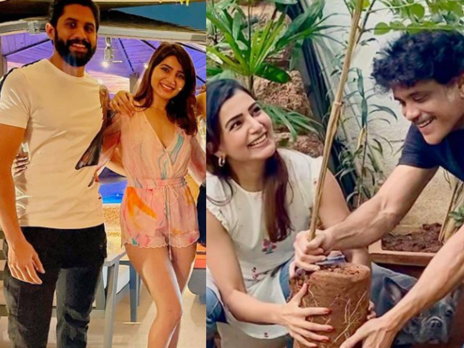 Samantha Ruth Prabhu deletes nearly all Instagram pictures with Naga  Chaitanya, weeks after separation - Hindustan Times