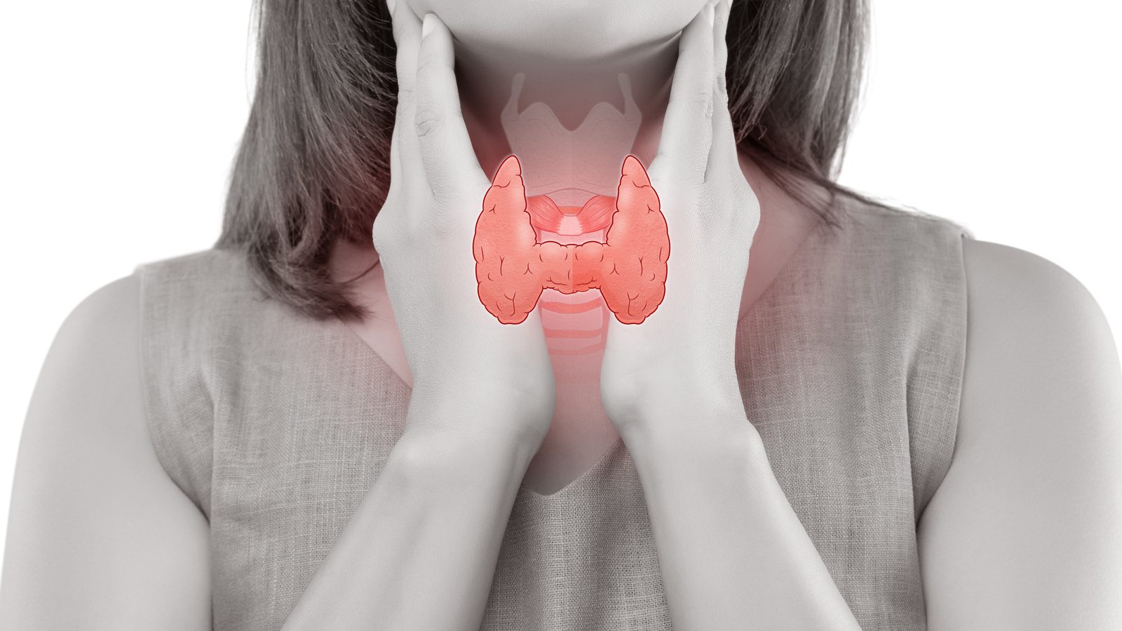 Хронические заболевания щитовидной. Здоровая щитовидная железа. Щитовидная железа у мужчин. Щитовидная железа реклама.