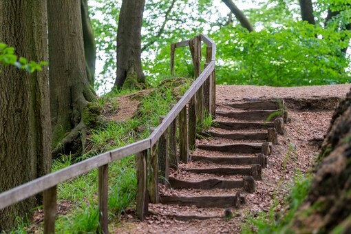 Some stories also involve sightings of such out of place staircases that also disappear overnight. (Image for representation/Shutterstock)