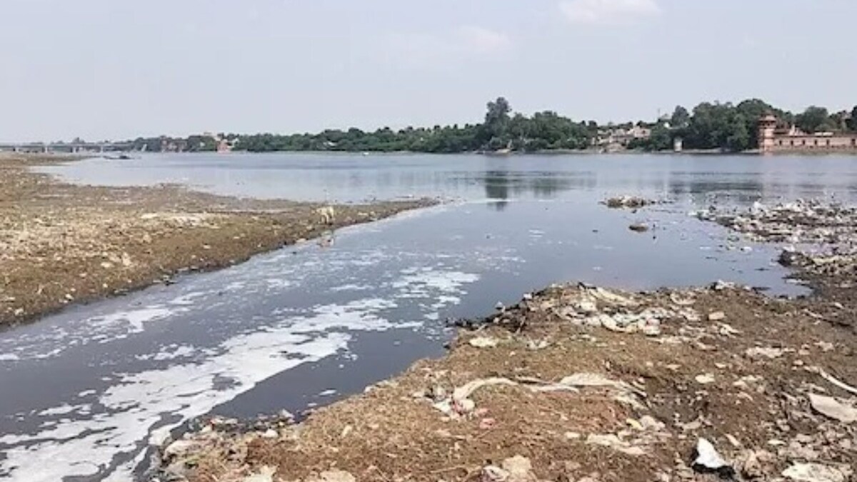 Ruling AAP, BJP Engage in Blame Game Over Frothing in Yamuna