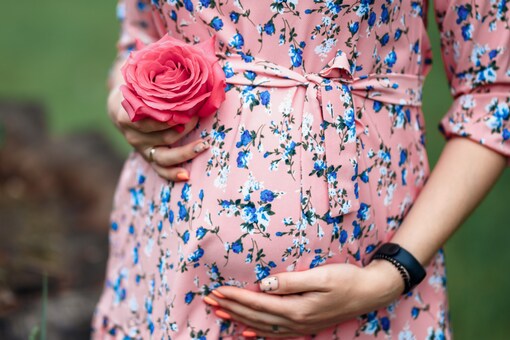 All the speculations and accusations ended after Sofia welcomed her first child in March this year. (Credits: Shutterstock)