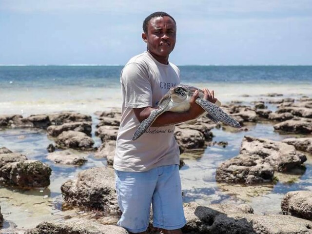 This Kenyan Ex-Accountant is Now on a Mission to Save Sea Turtles - News18